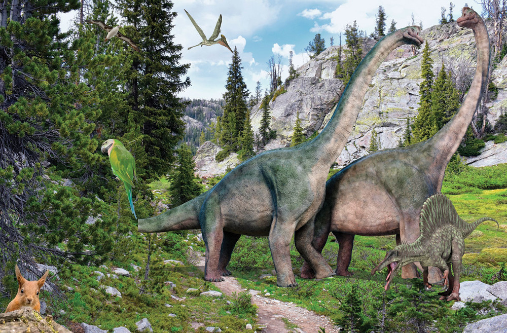 Parrot Rabbit And Dinosaurs Parrot Rabbit And Dinosaurs