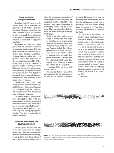 evolution essays creation evolution journal