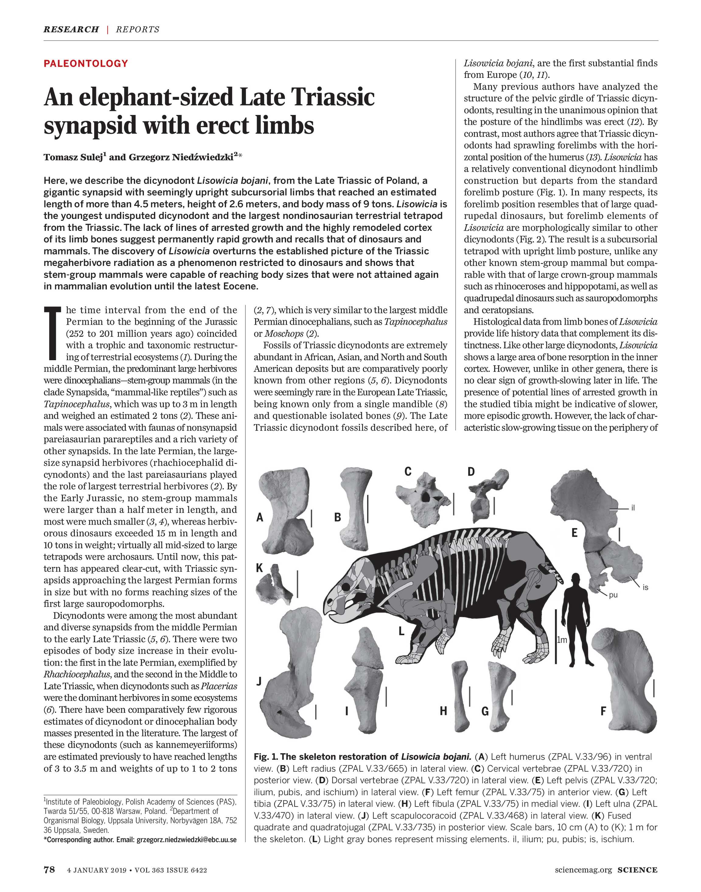 science magazine january 4