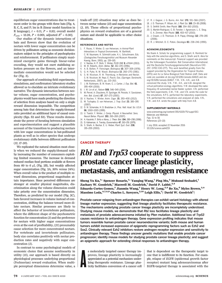 essay writing 3 paragraph narrative text