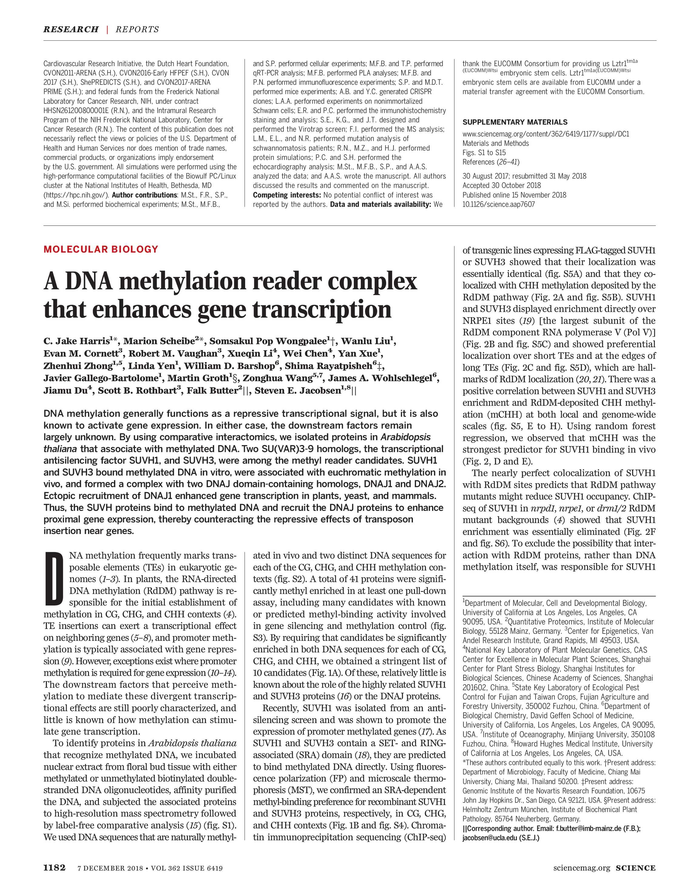 science magazine december 7