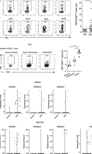 Science Magazine April Kir Cd T Cells Suppress