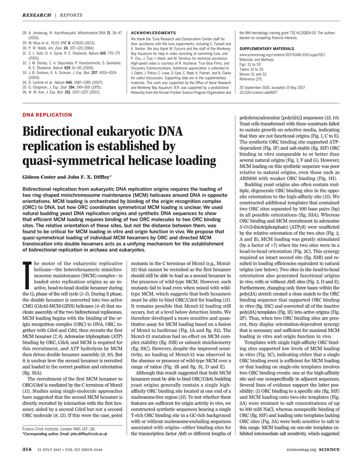 global warming solutions essay of 2008