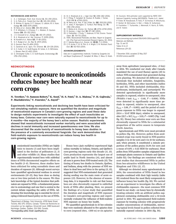 thanksgiving day essay on englishman settled