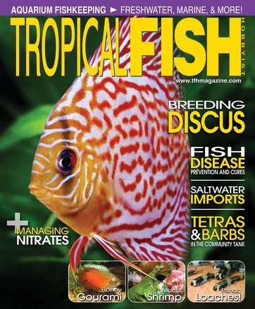 tropical fish hobbyist february