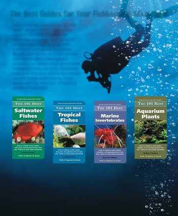tropical fish hobbyist february