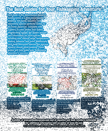 tropical fish hobbyist february