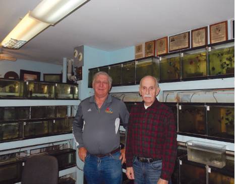 Tropical Fish Hobbyist - August 2015 - Stan Shubel: A Lifetime of  Achievement