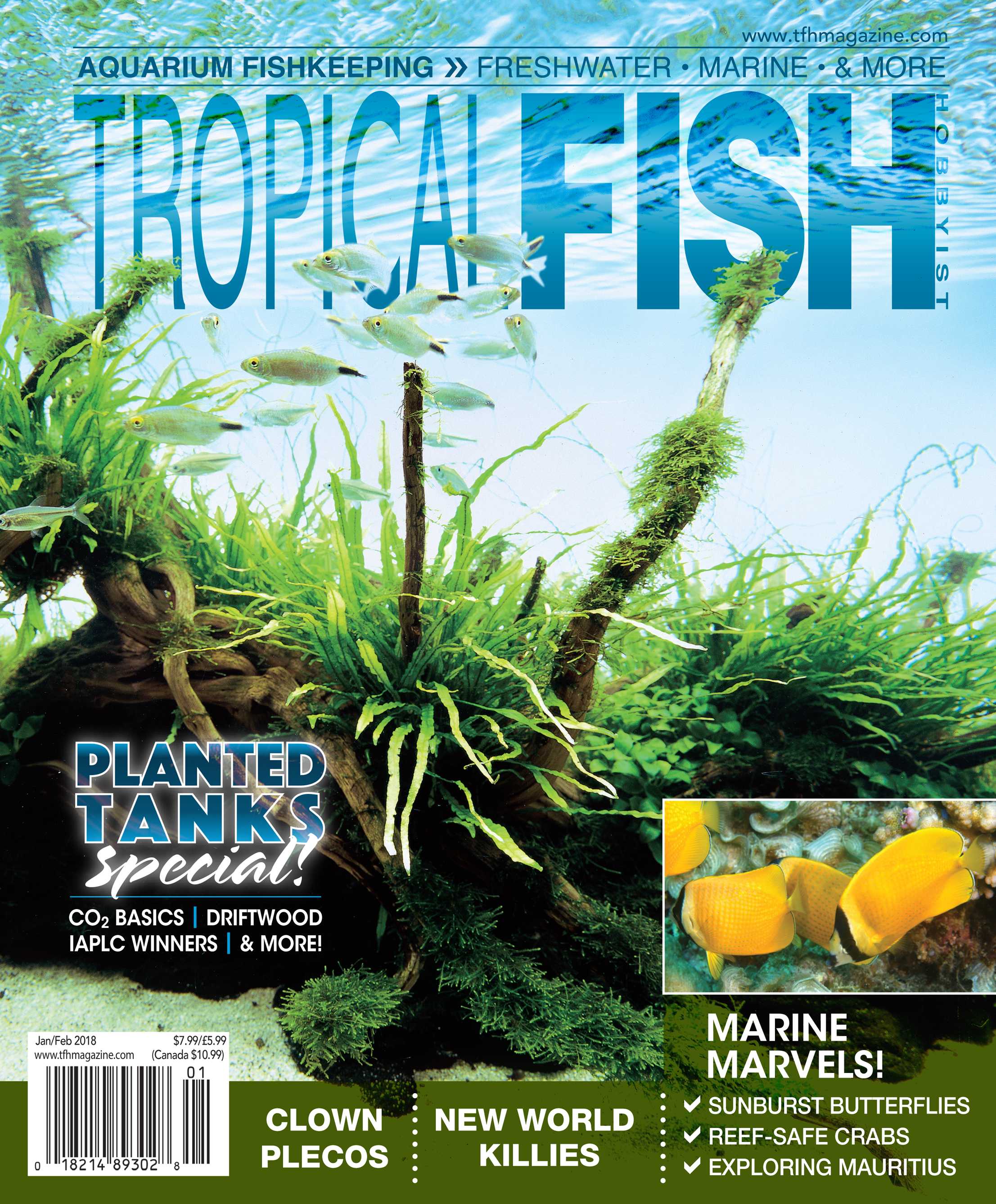 tropical fish hobbyist jan