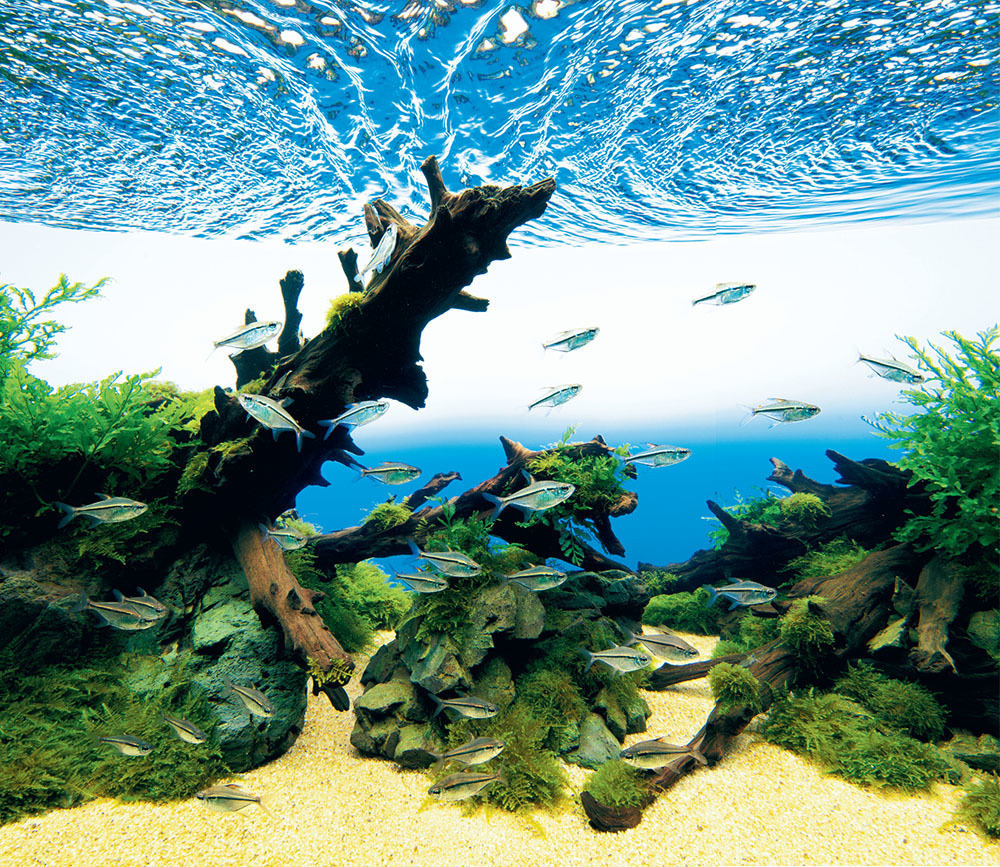 underwater river aquarium ornament