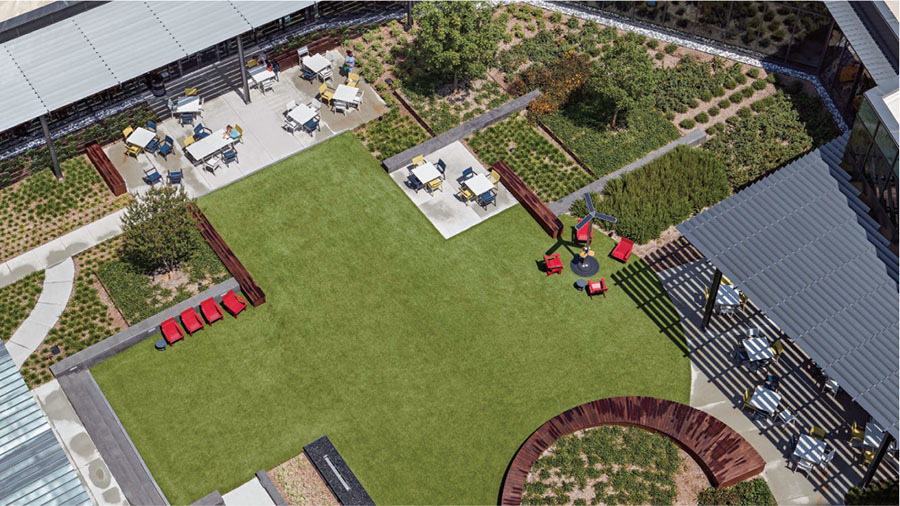 ncrs sky garden