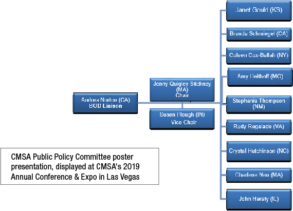 cmsa public policy team