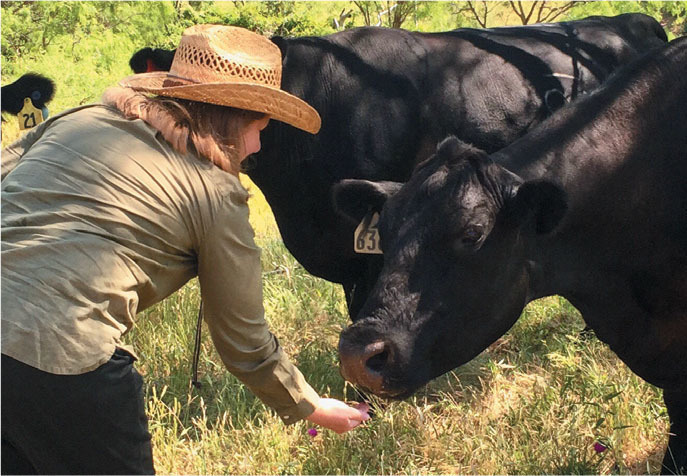 cows and kids