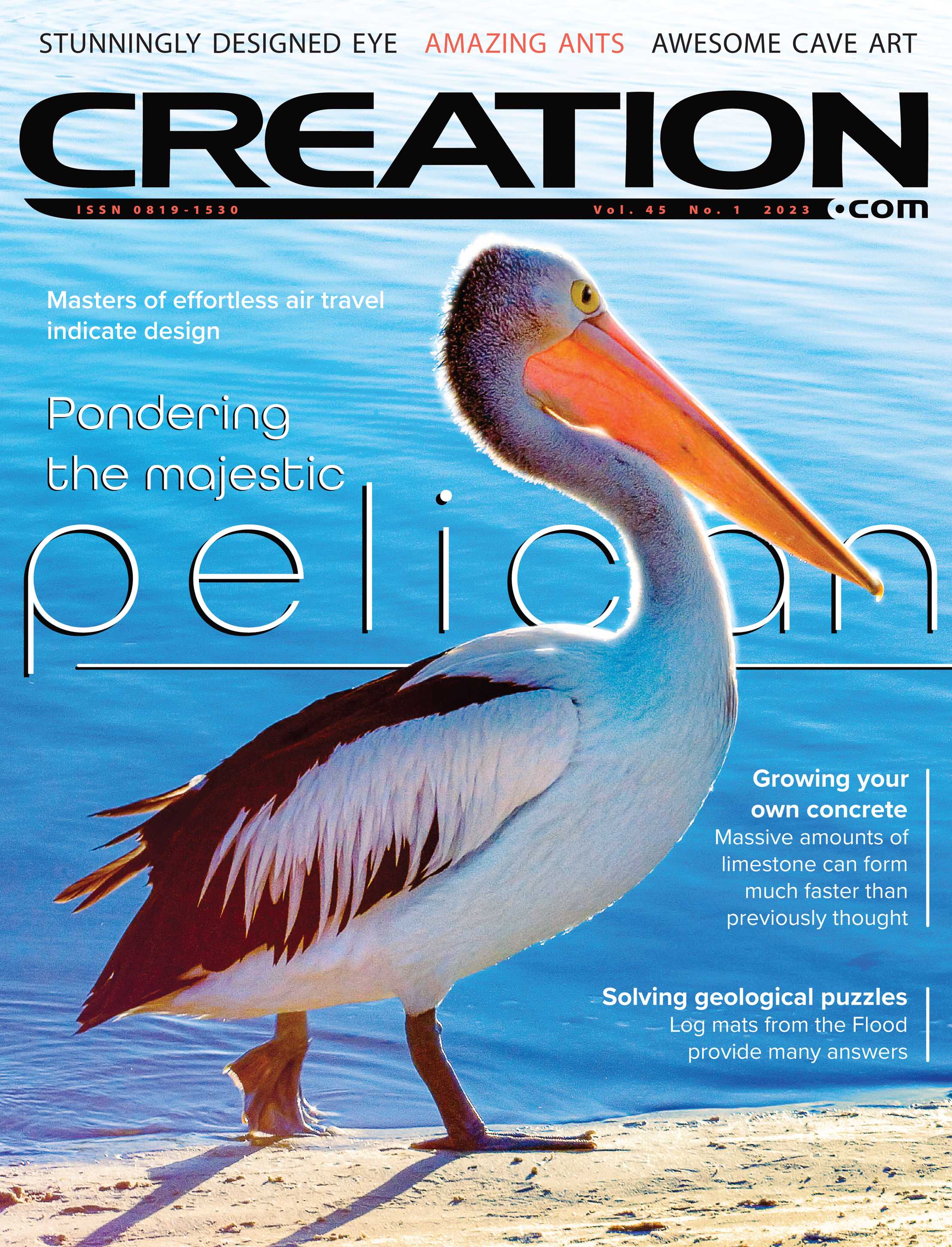 Creation - 2023 Volume 45 Issue 1 - page Cover