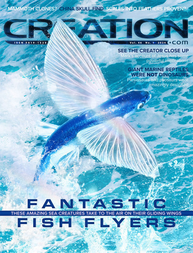 Creation 2024 Volume 46 Issue 1 Cover   001.cropped 