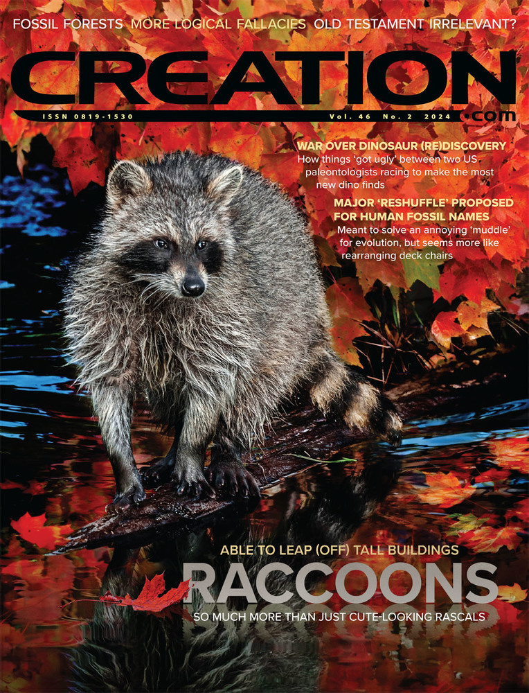 Creation - 2024 Volume 46 Issue 2 - COVER