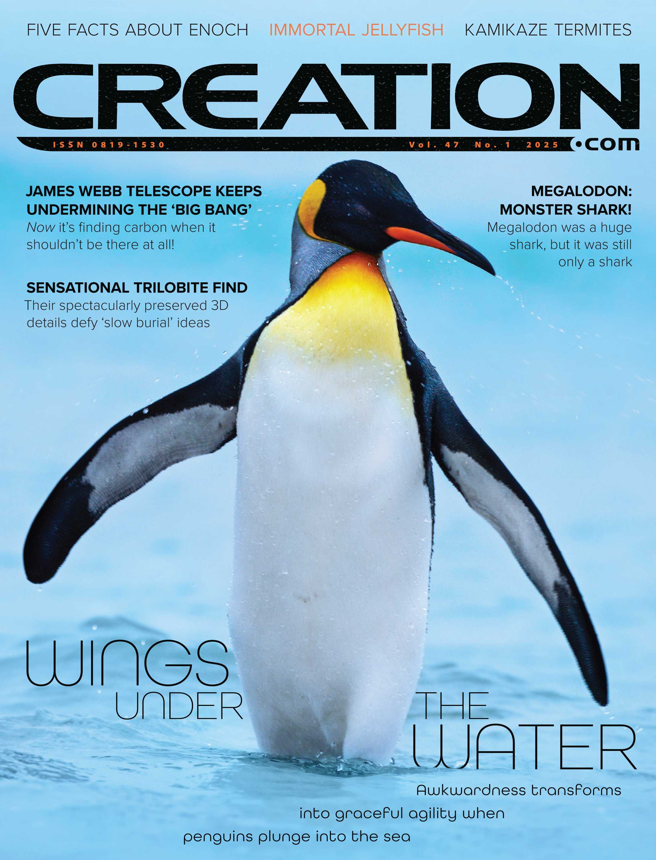 Creation 2025 Volume 47 Issue 1 0001 Loqgck