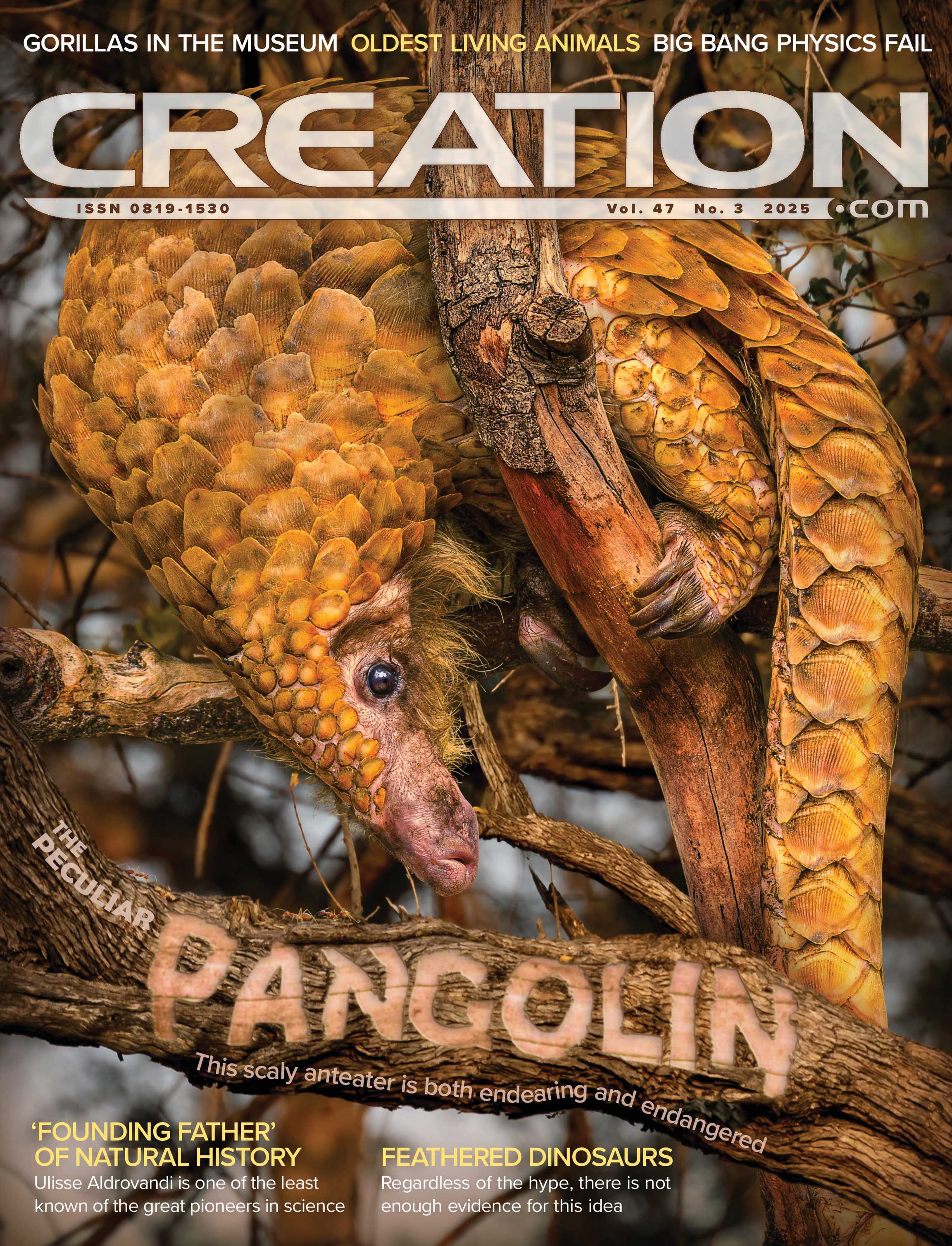 レアLIVING PROOF MAGAZINE OUR WORLD Emergence Magazine Vol. 3 – Living with the Unknown