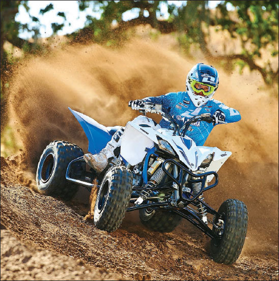 THE LIFE AND TIMES OF THE GRIZZLY - Dirt Wheels Magazine