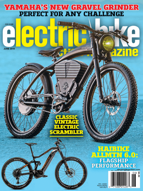 electric bike action