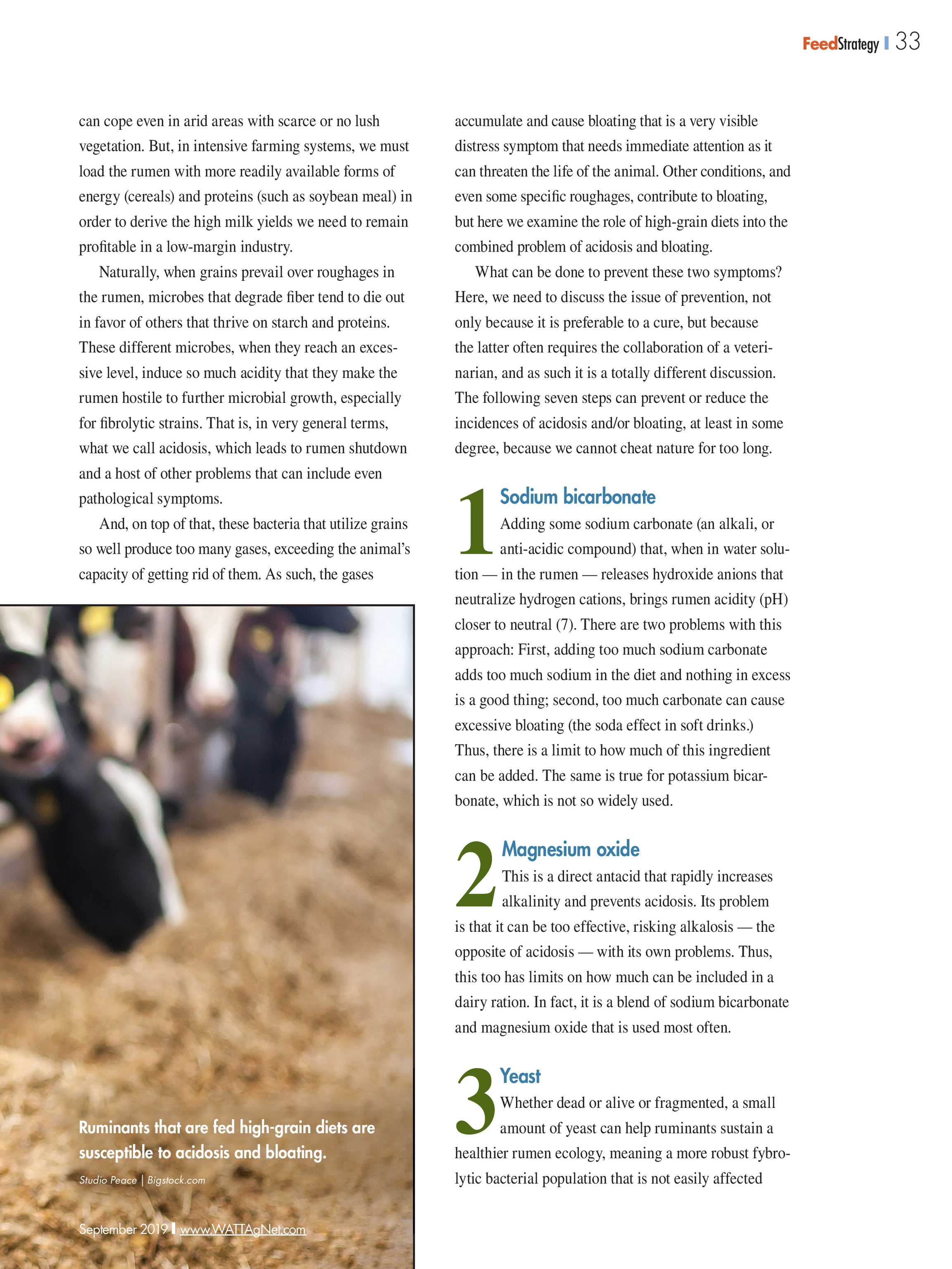 Feed Strategy September 2019 Page 33