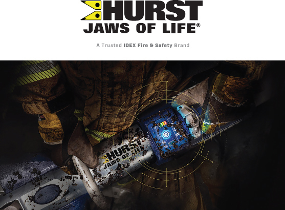 ラプンツェル様用】IRON JAWS / Declaration Of War ラプンツェル様用