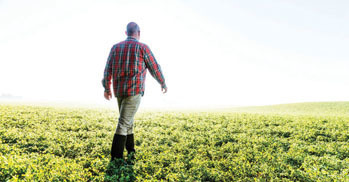 Image of man and field