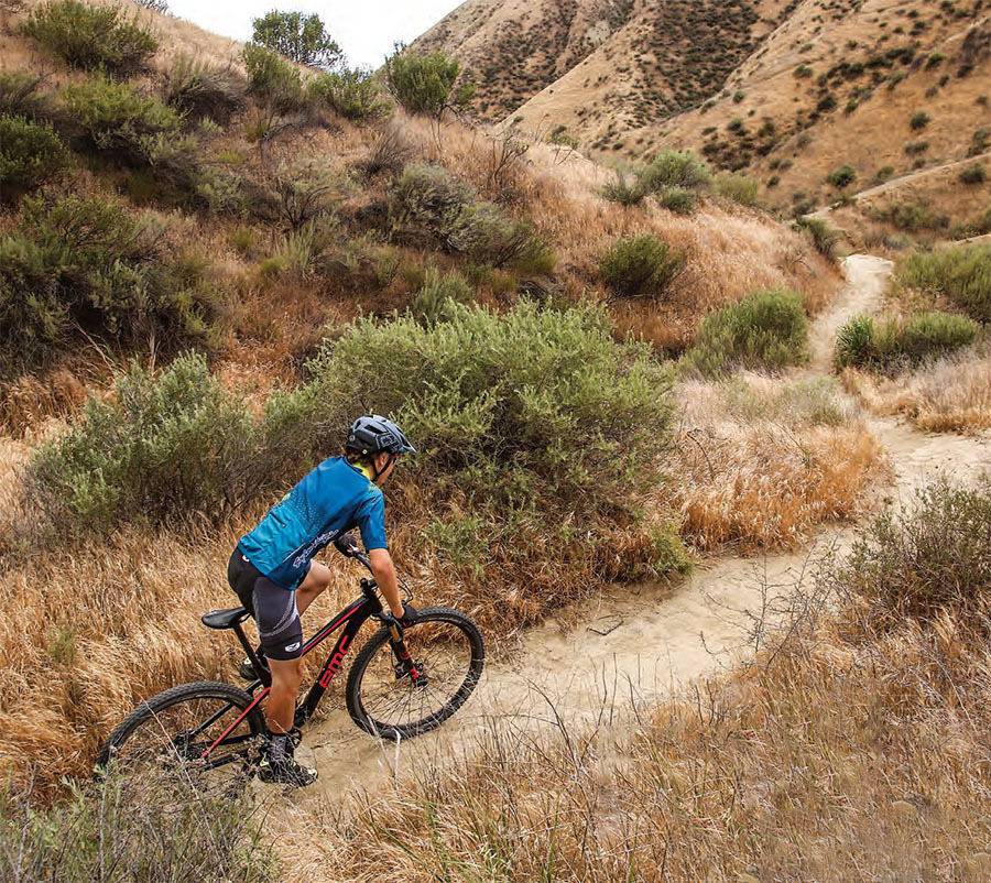 Stand up and Shred Harder - Mountain Bike Action Magazine