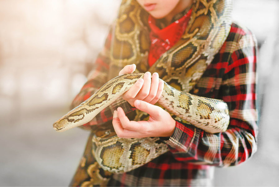 Thrive Expandable Snake Hook | PetSmart