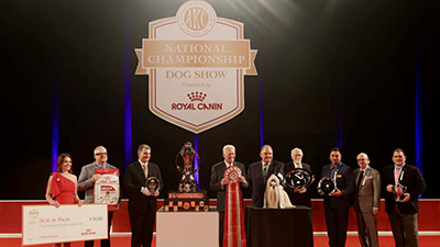 Best in Show 2025 National Dog Show - Top Canine Champions Displaying Agility