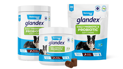 Pet Business October 2024 Vetnique Unveils New Glandex Product