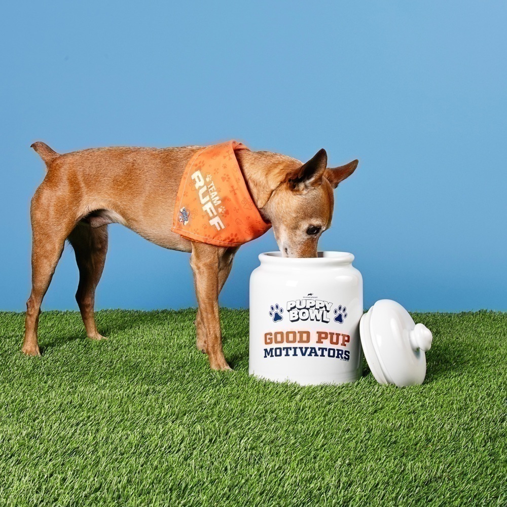 Puppy bowl shirt best sale