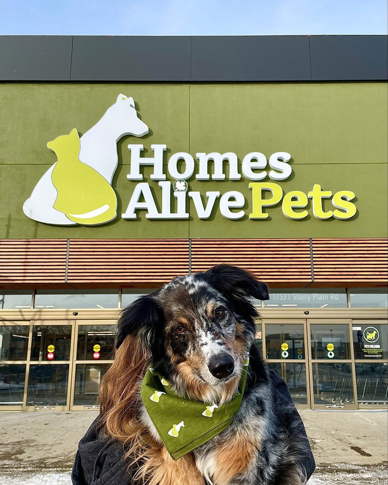 Pet Product News Owner of Mondou and Ren’s Pets Partners with Homes