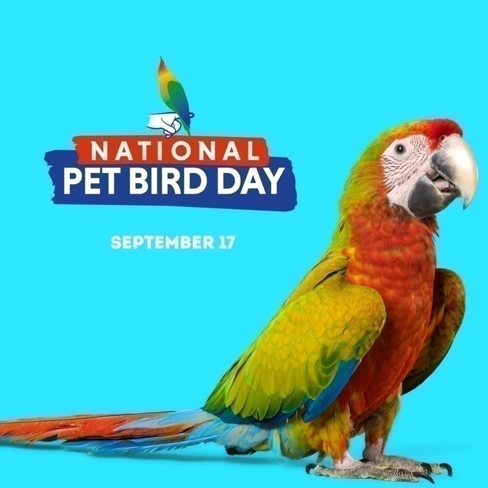 Pet Product News National Pet Bird Day Festivities Include My