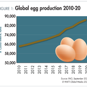 Poultry Trends - Issue Library