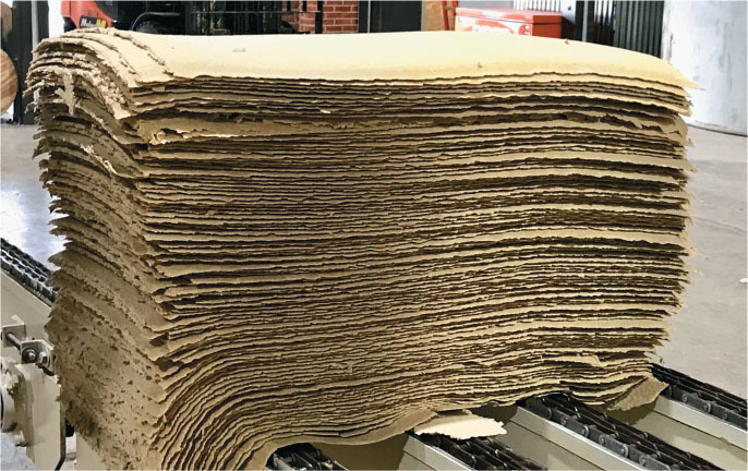 Paper360 (PPIS) - March/April 2019 - North America's First Tree-Free Pulp  Mill