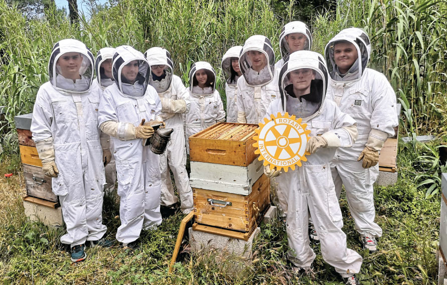 Beekeeping Is All the Rage. These Programs Can Help Veterans Get