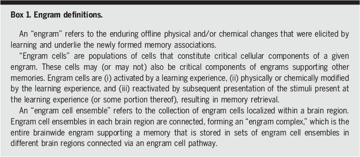 Engram neurons: Encoding, consolidation, retrieval, and forgetting of memory