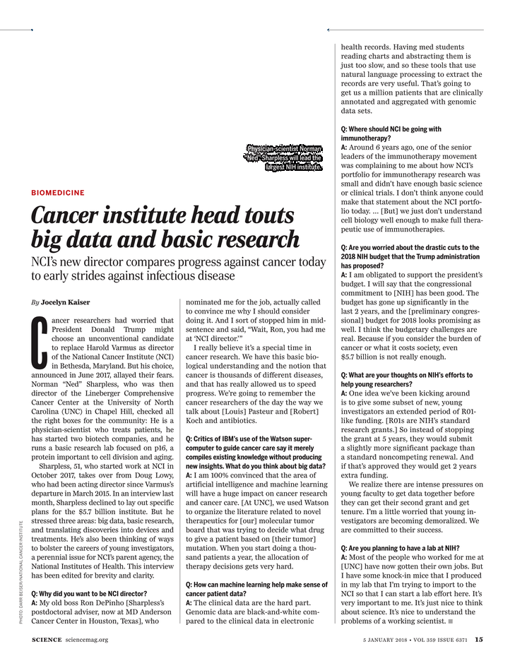 essay i love my dog descriptive