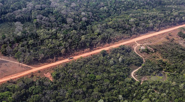 Science Magazine August 7 The Amazon S Road To Deforestation