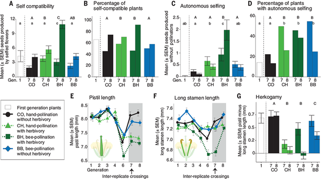 Science Magazine April 12 2019 Sensitive Intervention - 