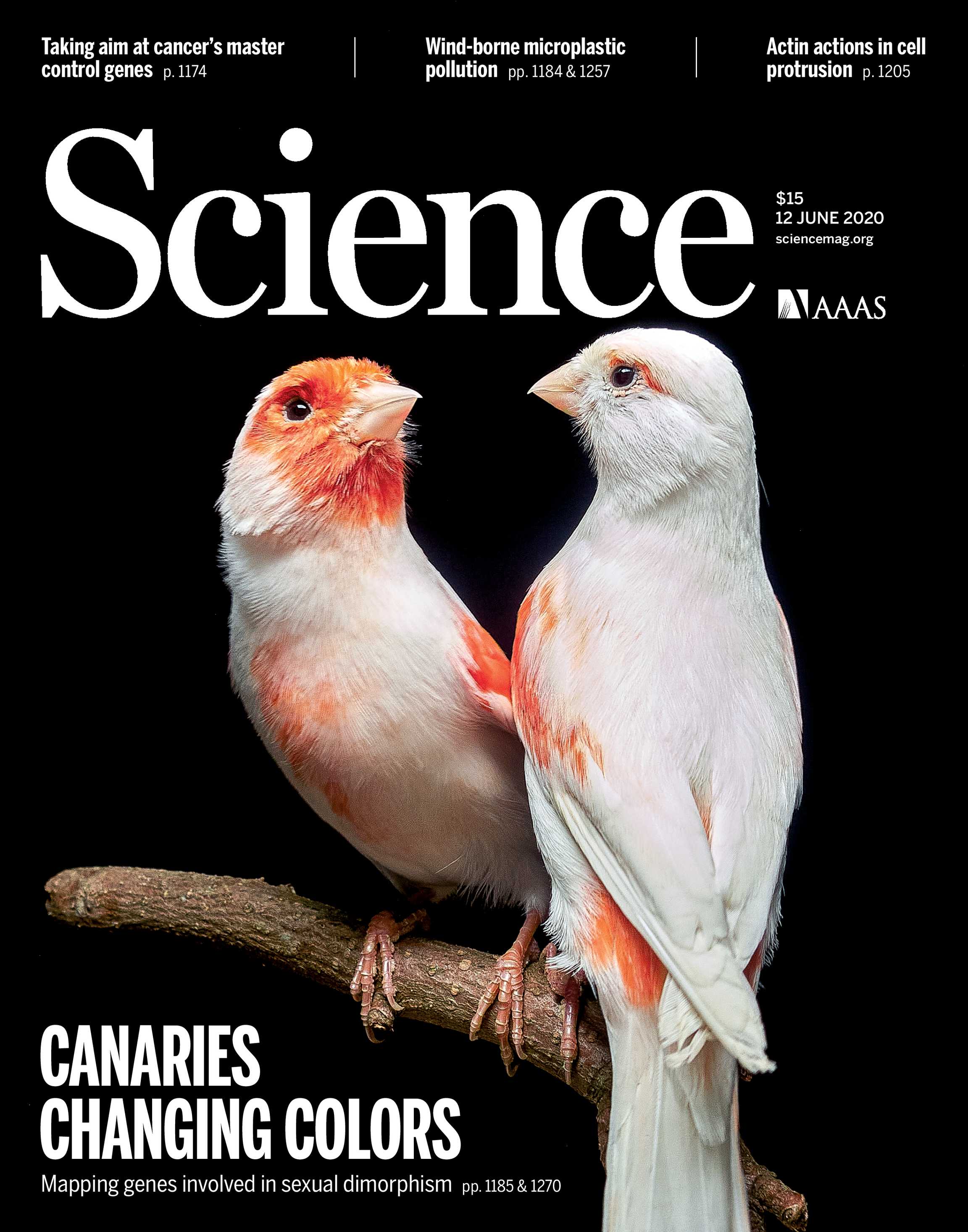 Science Magazine June 12 Page Cover