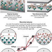 neuromorphic nanofluidic architectures