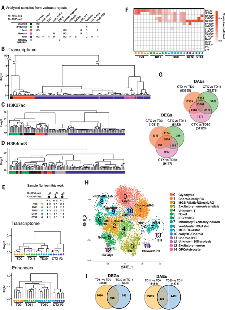 Science Magazine December 14 2018 Transcriptome And - 