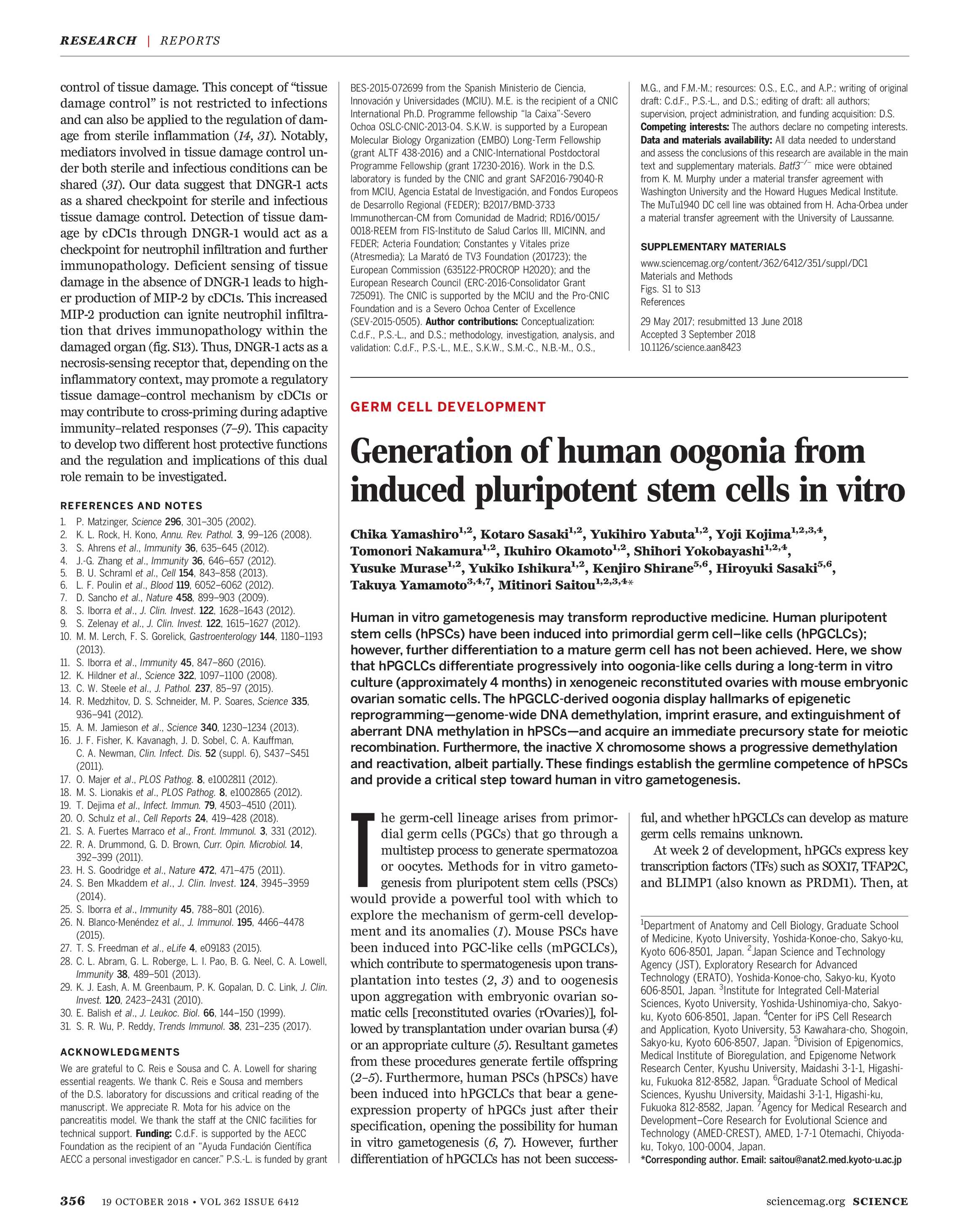 science magazine october 19