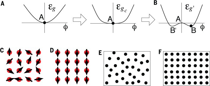 Science Magazine February 22 2019 Choreographed Entanglement