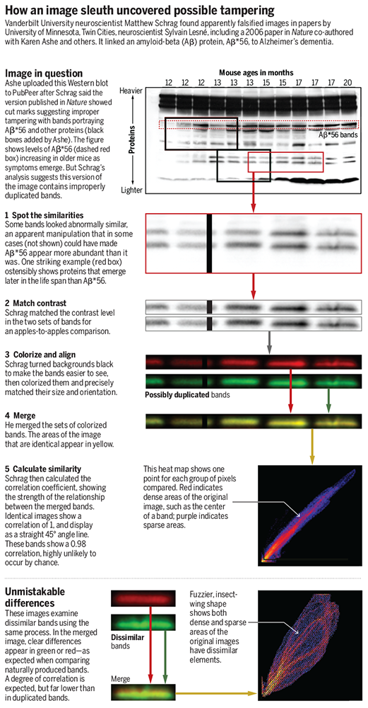 how an image sleuth uncovered possible tampering