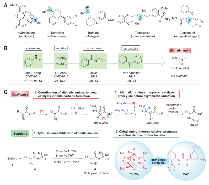 シリアル m Science Magazine - November 22, 2019 - Highly enantioselective
