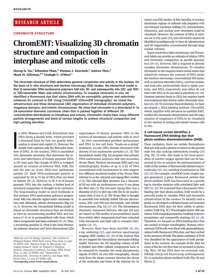 dissertation law abstract india