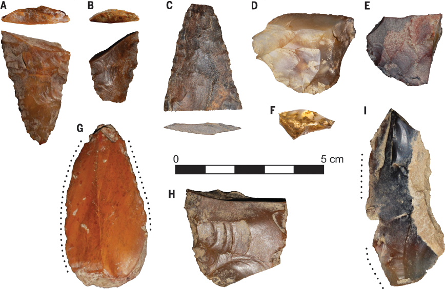 a figure lithic tools excavated